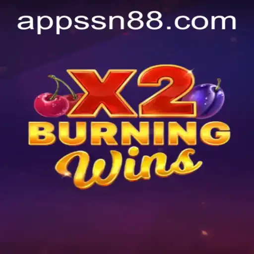 BurningWinsX2: A Comprehensive Explore of Gameplay and Features at SN88.COM